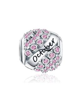 Charm Octubre con Circones Rosa ("October") En Plata 925