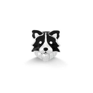 Charm Perro Border Collie En Plata 925