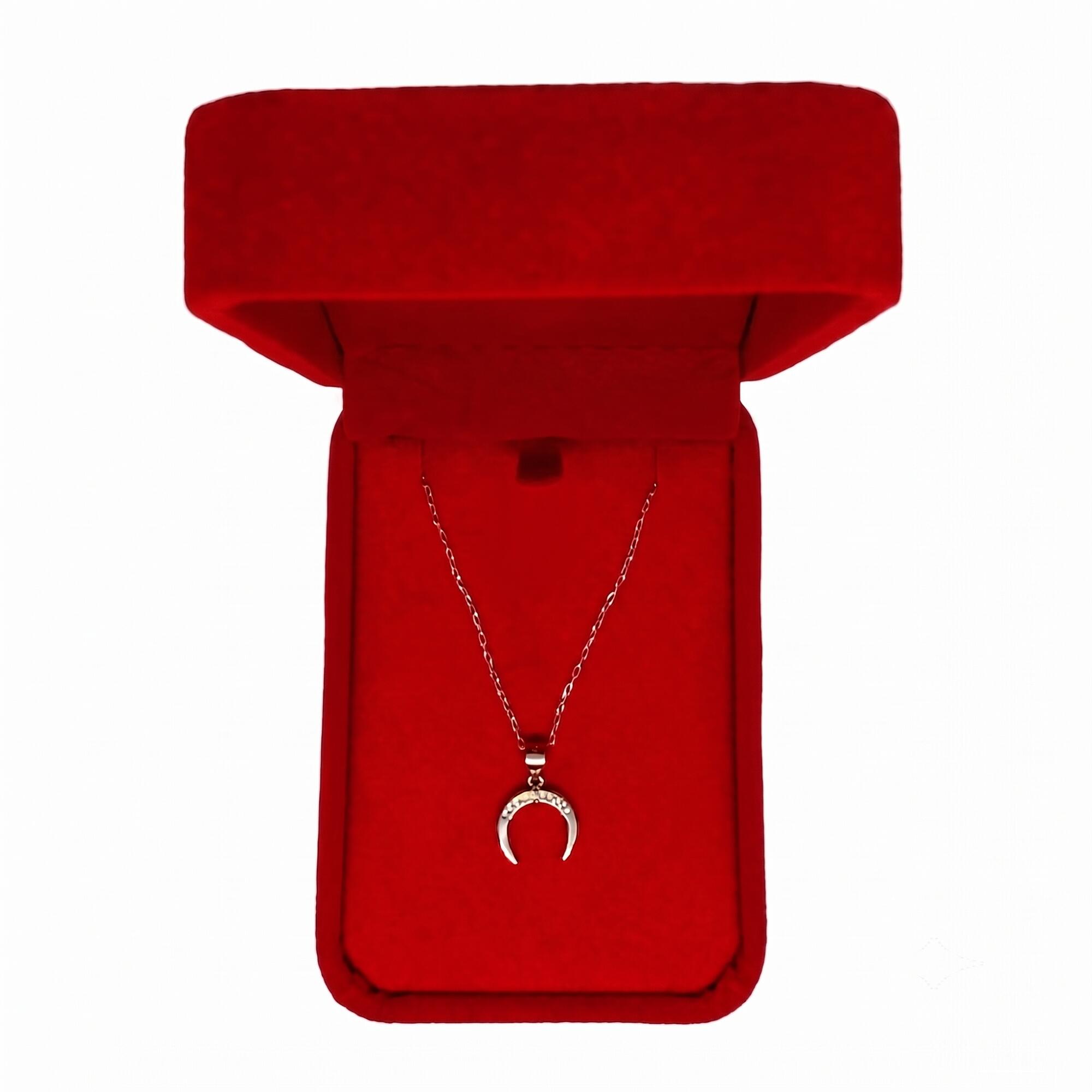 Collar Cadena Herradura Suerte En Plata 925 - Imagen 4