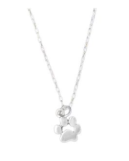 Collar Cadena Huella de Mascota En Plata 925