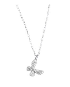 Collar Cadena Mariposa Solitaria En Plata 925